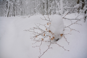 57_Szeroki_Wierch_Bieszczady.jpg