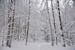 Nazwa pliku=58_Szeroki_Wierch_Bieszczady.jpg
Wielkość pliku=474KiB
Rozmiar=860x574
Data dodania= 10, Styczeń 2019 58_Szeroki_Wierch_Bieszczady.jpg
