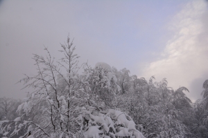 61_Szeroki_Wierch_Bieszczady.jpg