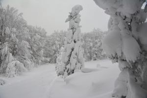 64_Szeroki_Wierch_Bieszczady.jpg