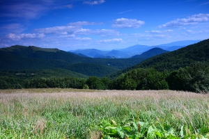 Nazwa pliku=65-halicz-tarnica.jpg
Wielkość pliku=438KiB
Rozmiar=780x520
Data dodania= 30, Lipiec 2016 65-halicz-tarnica.jpg