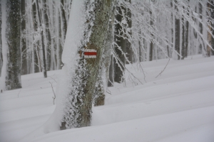 Nazwa pliku=65_Szeroki_Wierch_Bieszczady.jpg
Wielkość pliku=290KiB
Rozmiar=860x574
Data dodania= 10, Styczeń 2019 65_Szeroki_Wierch_Bieszczady.jpg