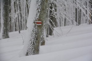 65_Szeroki_Wierch_Bieszczady.jpg