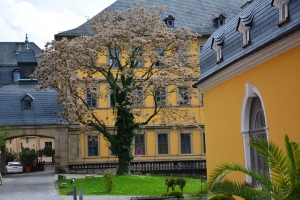 80_wurzburg.jpg