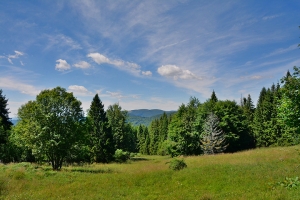 Nazwa pliku=88-halicz-tarnica.jpg
Wielkość pliku=401KiB
Rozmiar=780x520
Data dodania= 30, Lipiec 2016 88-halicz-tarnica.jpg
