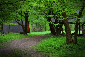 Nazwa pliku=92_rudawka-rymanowska.jpg
Wielkość pliku=486KiB
Rozmiar=780x520
Data dodania= 11, Maj 2016 92_rudawka-rymanowska.jpg