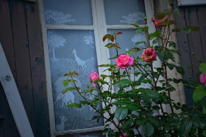 95_st-dizier_france.jpg