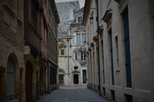 dijon-francja_58.jpg