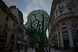 dijon-francja_61.jpg