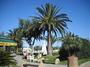 002_Ancona_Italia.jpg