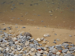 Nazwa pliku=002_praias-do-sado_portugal.jpg
Wielkość pliku=353KiB
Rozmiar=780x585
Data dodania= 25, Czerwiec 2012 002_praias-do-sado_portugal.jpg