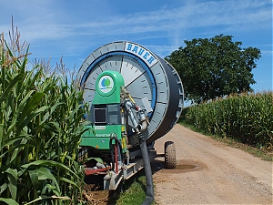 Nazwa pliku=005-orschwiller.jpg
Wielkość pliku=478KiB
Rozmiar=780x585
Data dodania= 10, Sierpień 2012 005-orschwiller.jpg