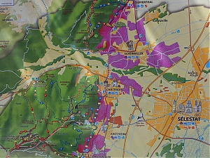 Nazwa pliku=009-orschwiller.jpg
Wielkość pliku=509KiB
Rozmiar=780x585
Data dodania= 10, Sierpień 2012 009-orschwiller.jpg