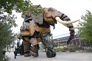 Nazwa pliku=009_nantes.jpg
Wielkość pliku=380KiB
Rozmiar=780x520
Data dodania= 19, Listopad 2015 009_nantes.jpg