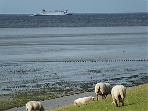 017-Eemshaven.jpg