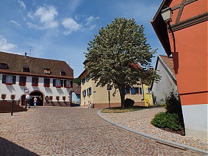 Nazwa pliku=019-orschwiller.jpg
Wielkość pliku=452KiB
Rozmiar=780x585
Data dodania= 10, Sierpień 2012 019-orschwiller.jpg