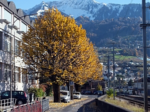 01_montreux_ch.jpg