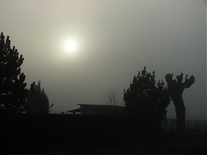 01_nerac-france.jpg