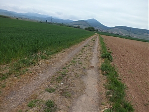 01_st_hippolyte.jpg