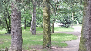 024_lyon-27-maj.jpg