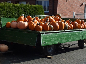 02_Werl_Buderich.jpg