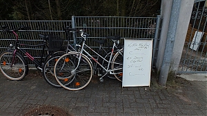 03_homburg.jpg