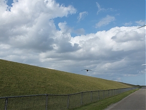 040-Eemshaven.jpg