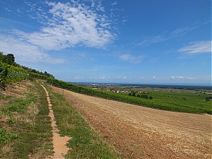 Nazwa pliku=044-orschwiller.jpg
Wielkość pliku=413KiB
Rozmiar=780x585
Data dodania= 10, Sierpień 2012 044-orschwiller.jpg