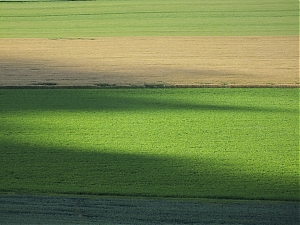 Nazwa pliku=05-N4_Maisons-En-Champagne.jpg
Wielkość pliku=347KiB
Rozmiar=780x585
Data dodania= 18, Czerwiec 2012 05-N4_Maisons-En-Champagne.jpg