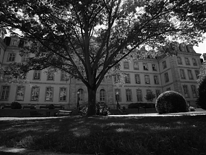 055_Limoges.jpg