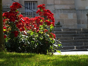 056_Limoges.jpg