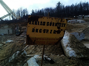 05_borow_pl_granit.jpg