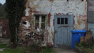 05_homburg.jpg
