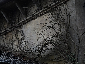 05_montchanin-france.jpg