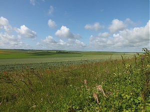 Nazwa pliku=06-N4_Maisons-En-Champagne.jpg
Wielkość pliku=372KiB
Rozmiar=780x585
Data dodania= 18, Czerwiec 2012 06-N4_Maisons-En-Champagne.jpg