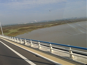 06-a29_most.jpg