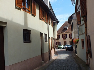 Nazwa pliku=069-hippolyte.jpg
Wielkość pliku=301KiB
Rozmiar=780x585
Data dodania= 10, Sierpień 2012 069-hippolyte.jpg