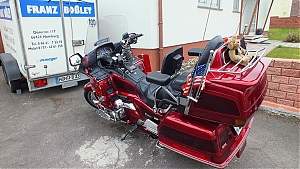 06_homburg.jpg
