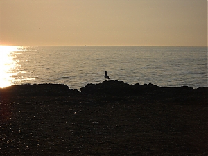 07_Vinaros-N340.jpg