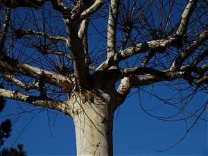 07_nerac-france.jpg