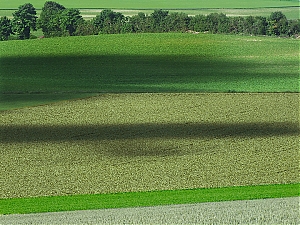 Nazwa pliku=08-N4_Maisons-En-Champagne.jpg
Wielkość pliku=590KiB
Rozmiar=780x585
Data dodania= 18, Czerwiec 2012 08-N4_Maisons-En-Champagne.jpg