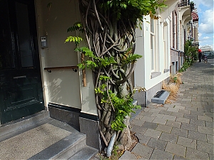 084_Amsterdam_15_07.jpg