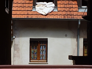 Nazwa pliku=087-hippolyte.jpg
Wielkość pliku=301KiB
Rozmiar=780x585
Data dodania= 10, Sierpień 2012 087-hippolyte.jpg