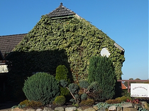 08_todendorf-niemcy.jpg