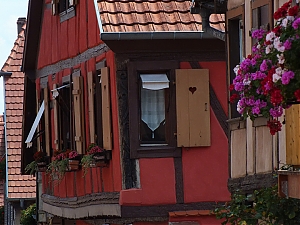Nazwa pliku=090-hippolyte.jpg
Wielkość pliku=373KiB
Rozmiar=780x585
Data dodania= 10, Sierpień 2012 090-hippolyte.jpg