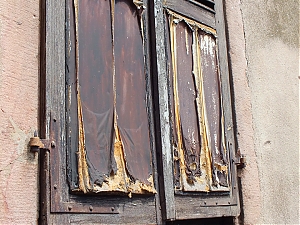 Nazwa pliku=094-hippolyte.jpg
Wielkość pliku=498KiB
Rozmiar=780x585
Data dodania= 10, Sierpień 2012 094-hippolyte.jpg