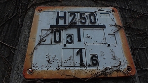 09_homburg.jpg