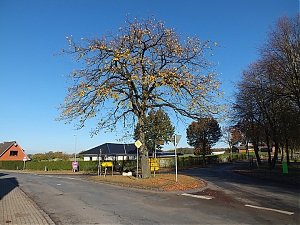 09_todendorf-niemcy.jpg
