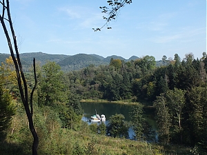 100-zawoz-werlas-jutryna.jpg