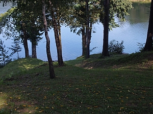 Nazwa pliku=103-zawoz-werlas-jutryna.jpg
Wielkość pliku=429KiB
Rozmiar=760x570
Data dodania= 19, Wrzesień 2014 103-zawoz-werlas-jutryna.jpg